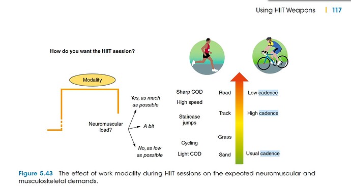 Screen Shot 2024-01-27 at 12.29.09 PM
