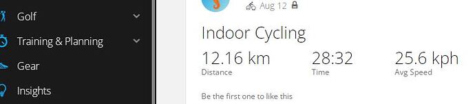 1-Garmin