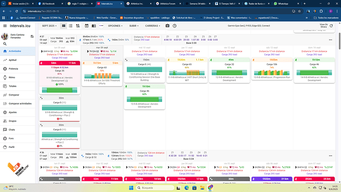 Captura de pantalla 2025-09-09 14.21.35
